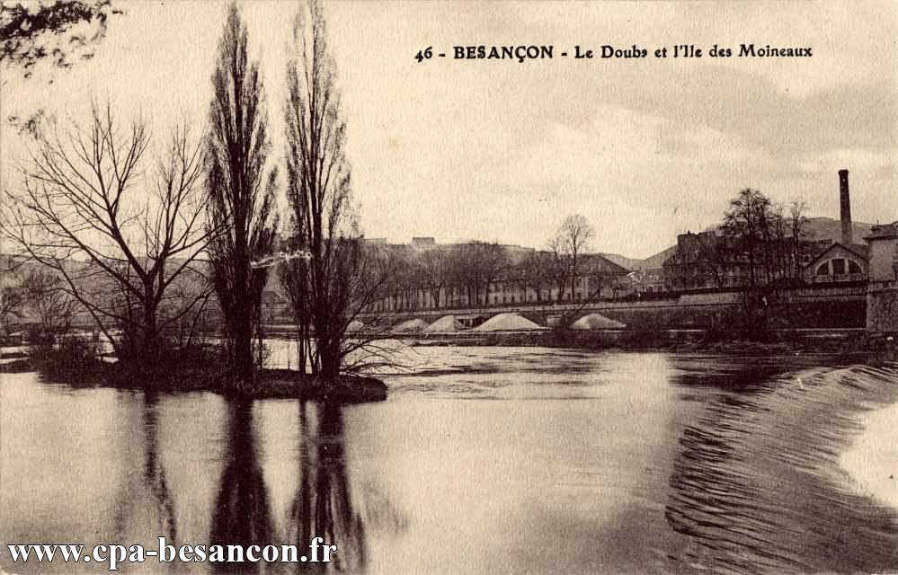 46 - BESANÇON - Le Doubs et l'Ile des Moineaux